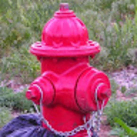 Meet your Posher, D - Picture 1 of 1